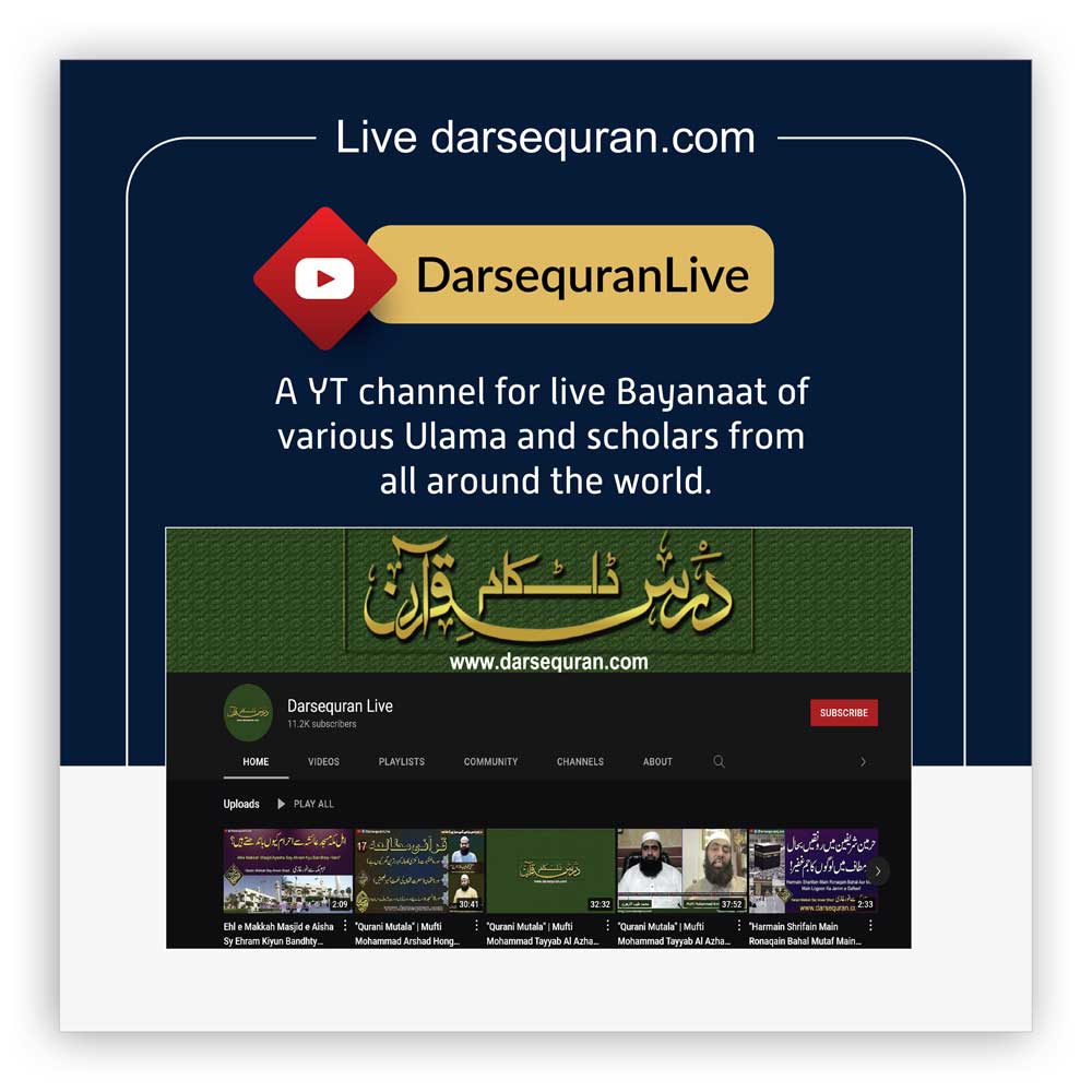 Dq Live Channel