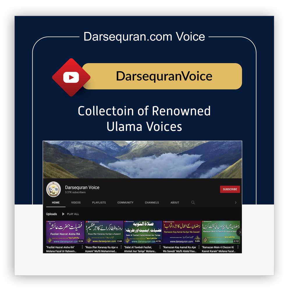 DQ Voice YT Channel
