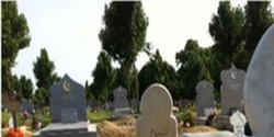 بستی ادھر ہے! 
