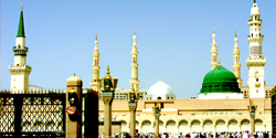 Seerat un Nabi Quiz